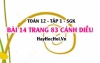 Bài 14 trang 83 Toán 12 tập 1 Cánh Diều